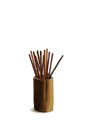 ȥɱ  ȥ